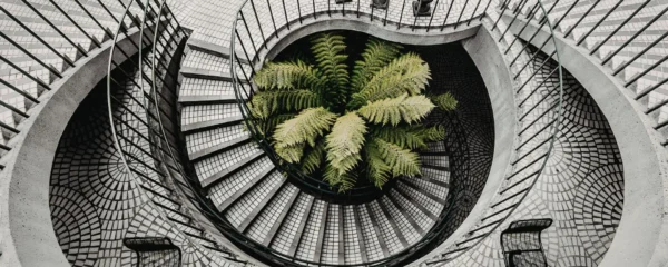 escalier en limon central
